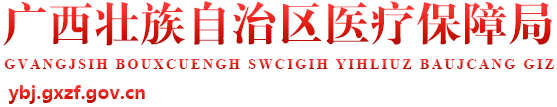 廣西壯族自治區醫療保障局網站